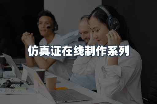 仿真证在线制作